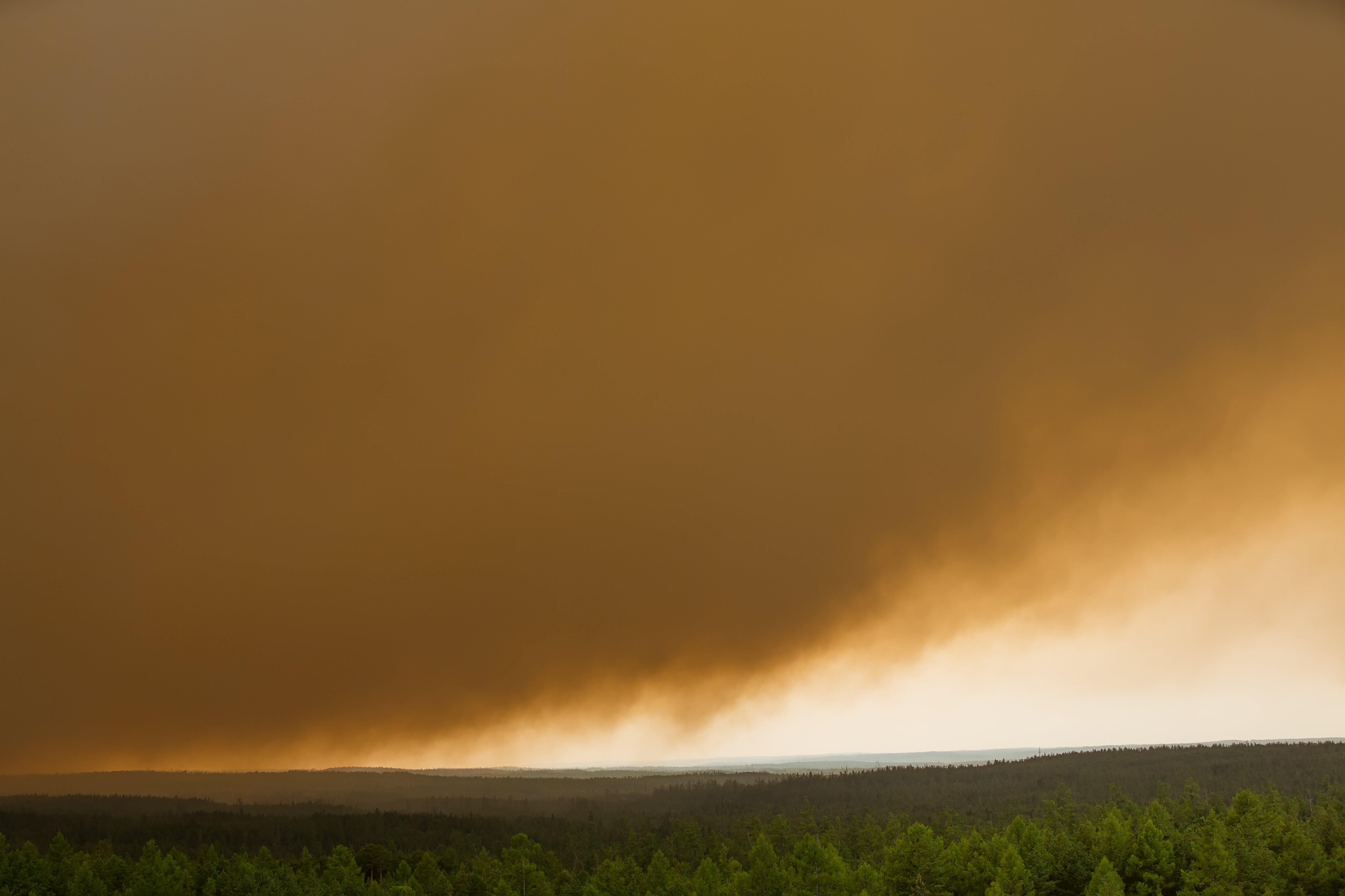 Еще 8 лесных пожаров в Югре ликвидировано за прошедшие сутки