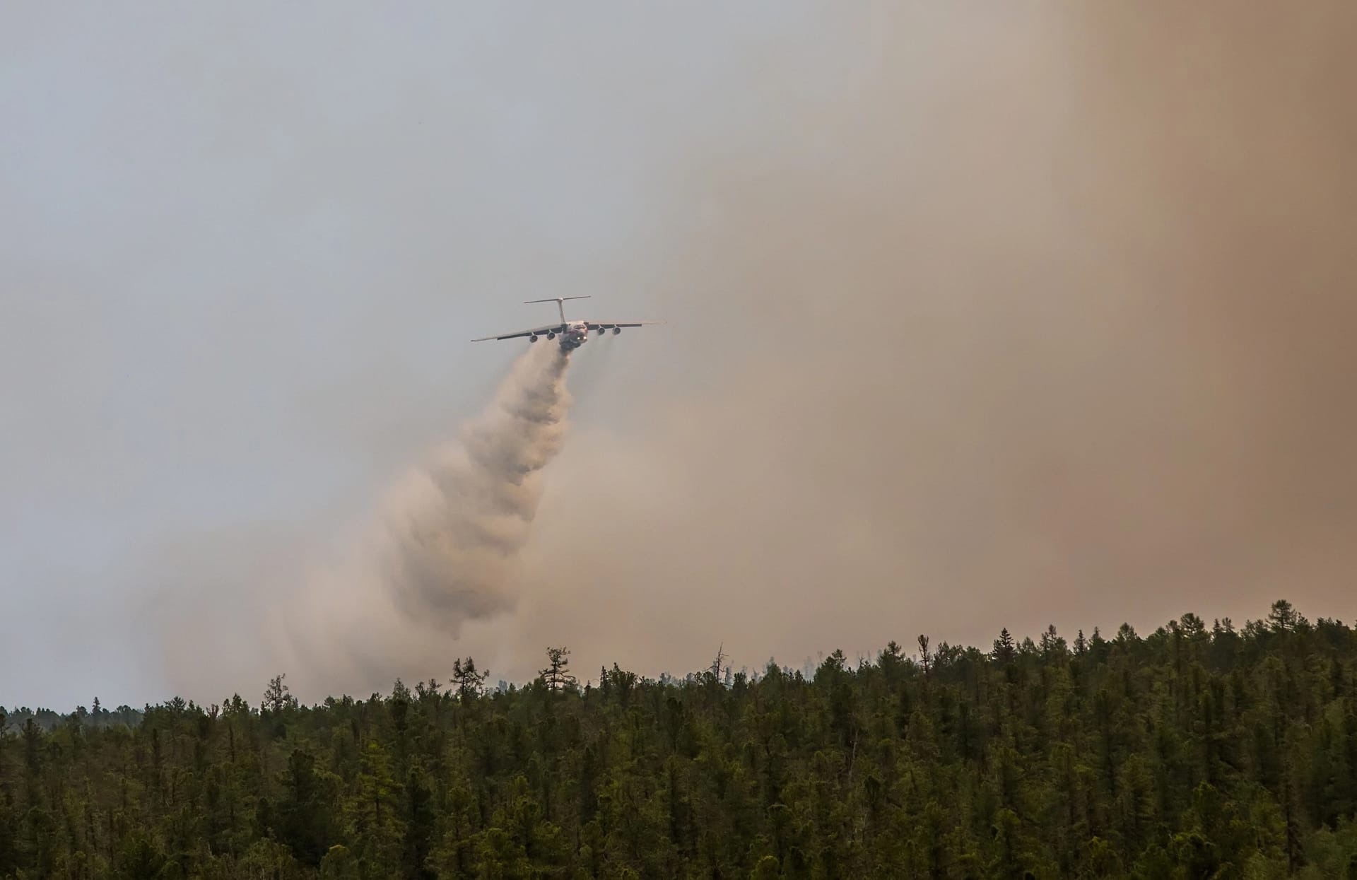 В Югре за сутки ликвидировали 24 лесных пожара