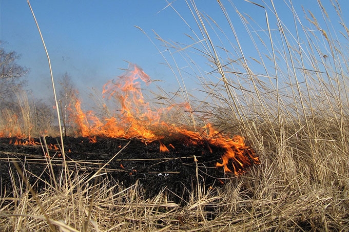 В Югре пойменный пожар смогли потушить в день возгорания